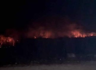 Požar većih razmjera kod Gacka