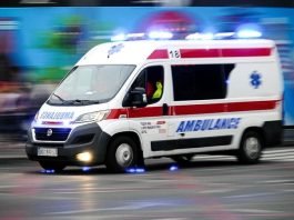 Svinja mu prerezala glavnu arteriju, spasili ga ljekari Hitne pomoći