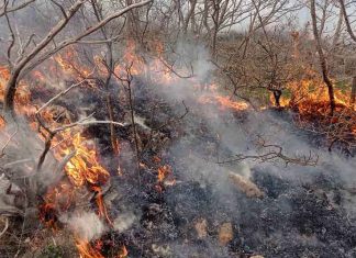 Više aktivnih požara kod Nevesinja: Vatra odbijena od kuća, teren nepristupačan