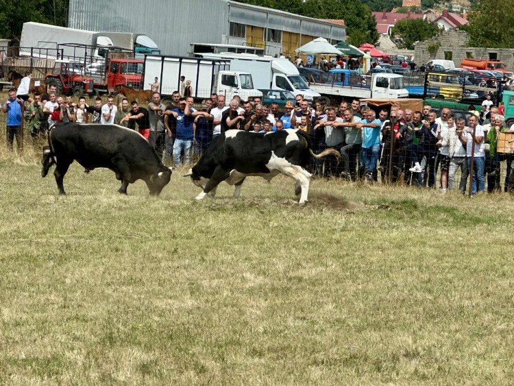 borba-naslovna (1)