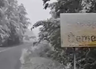 Zabijelilo i Čemerno