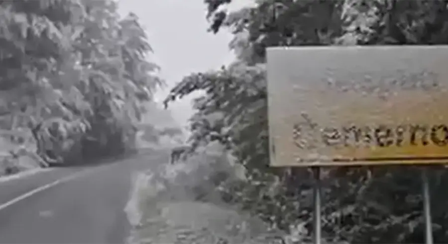 čemerno