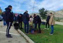 Građanska odgovornost GKUD „Alat“ iz Trebinja – zasađeni novi zasadi kod Hercegovačke Gračanice