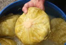 Kako da zamrznete kiseli kupus da ostane svjež i ukusan mjesecima?