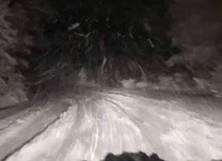 Katastrofa, nepročišćeno, palo drveće: Snijeg iznenadio i u Hercegovini