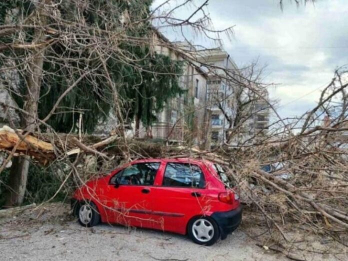 vjetar auto šteta