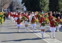 Karavan mimoze danas u Trebinju