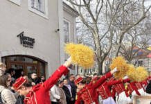 /VIDEO,FOTO/ Karavan mimoze i ove godine ukrasio grad pod Leotarom