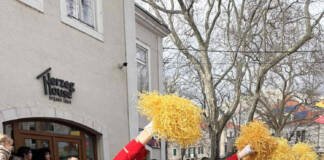 /VIDEO,FOTO/ Karavan mimoze i ove godine ukrasio grad pod Leotarom