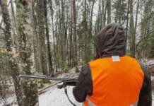 Miljevina kod Foče: Hajka na vuka okupila 150 lovaca (VIDEO)