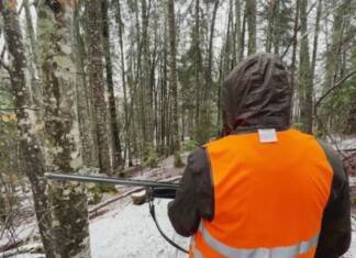 Miljevina kod Foče: Hajka na vuka okupila 150 lovaca (VIDEO)