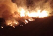 Vatra buktila u u Popovom polju, ugroženi bili vinogradi