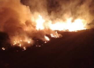 Vatra buktila u u Popovom polju, ugroženi bili vinogradi