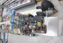 Hrabra radnica koja se suprotstavila pljačkašu mogla bi da dobije nagradu od 5.000 KM