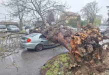 Jak vjetar i olujno nevrijeme u regionu: Stablo palo na automobil (FOTO)
