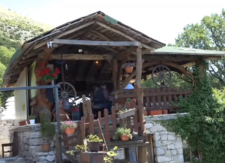 ‘Stari hrast — čuvar duha Hercegovine’ /VIDEO/