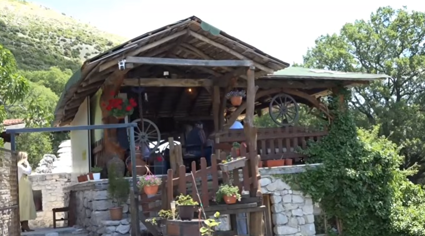 Stari hrast