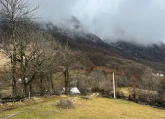 DRAMA KOD PLUŽINA Šumska zver prišla kućama, a zatim krenula na rendžere: Morali su da pucaju