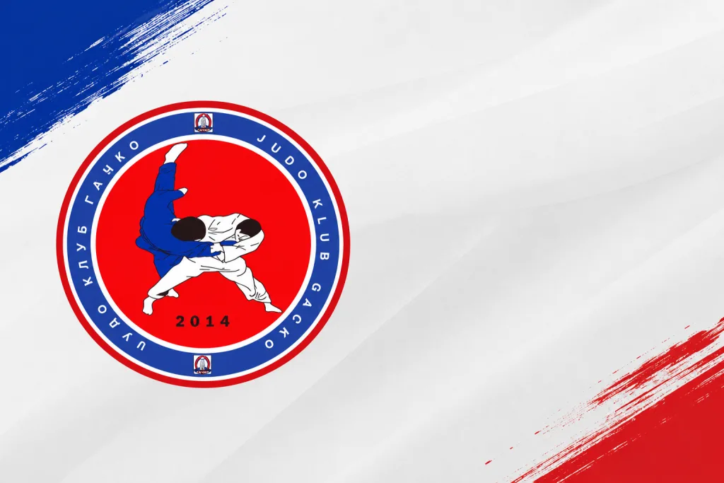 Dzudo-logo-1024x683-png