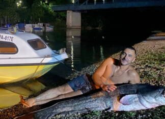 Fotografija zapalila mreže: Ogromni som nadmašio i samog ribolovca