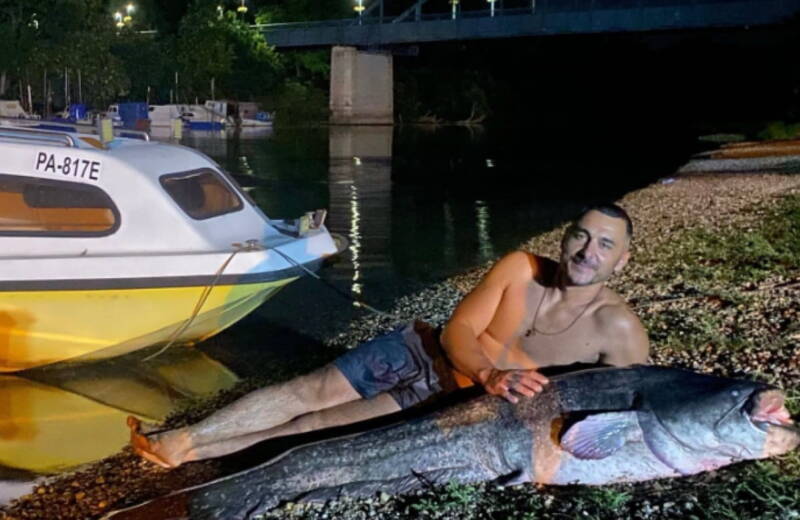 Ribolovac2