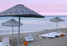 Poveo i kravu na more: Snimak iz Neuma ”zapalio” mreže