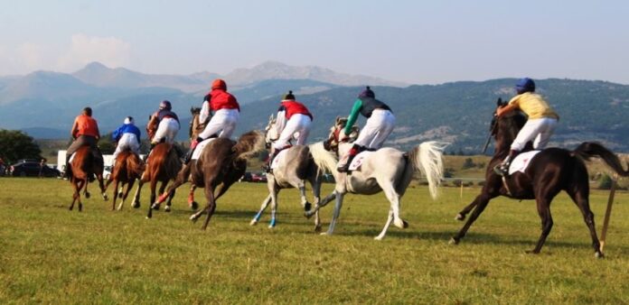 nevesinjska-olimpijada-696x338