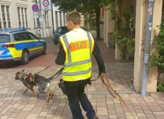 Zatvorenik pobjegao sa psihijatrije u Rostoku, pronađen s djevojkom u hotelu na Cetinju