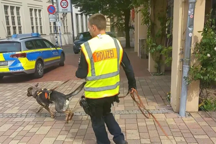 pol njemačka