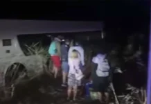 Oglasila se agencija čiji je Autobus sa srpskim turistima sletio sa puta u Bugarskoj (VIDEO)