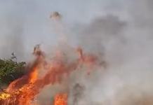 Nevesinje: Vatra stigla nadomak kuća u Bijenji i Knežaku /VIDEO/