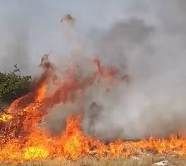 Nevesinje: Vatra stigla nadomak kuća u Bijenji i Knežaku /VIDEO/