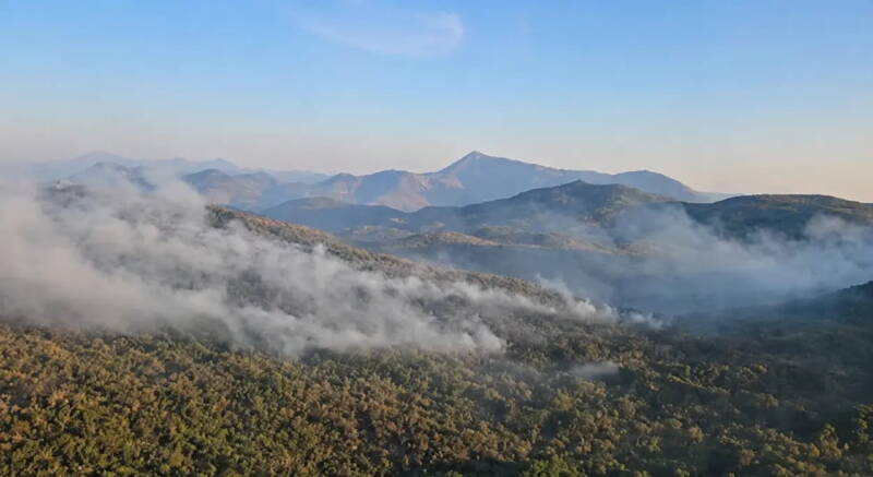 Pozar zupci panorama