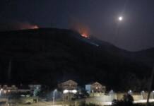 Vatra se spušta prema Gučini i borovoj šumi -Vatrogasci ulažu nadljudske napore