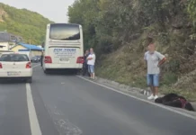Autobus udario medvjeda kod Travnika