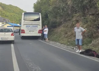 Autobus udario medvjeda kod Travnika
