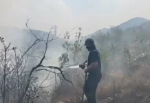 Heroj iz Trebinja: Coka sa osmijehom ide pravo u vatru (VIDEO)