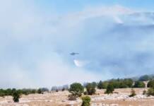 VIDEO/ Helikopter uprave za vazduhoplovstvo gasi požar u Nevesinju; Vanredno na požarištu