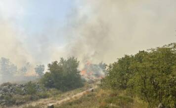 Јak vjetar otežava gašenje požara kod Trebinja – vatra se otela kontroli (VIDEO)