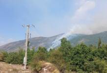 Krak požara u rejonu Željeva kod Trebinja širi se ka obroncima planine Bijela gora (VIDEO)
