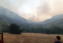 “Situacija na požarištima u Srpskoj bolja, najteže na području Trebinja”