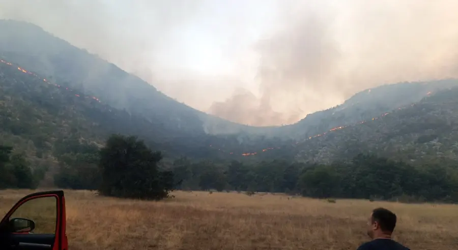 požar trebinje
