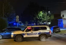 Novica Elek ubijen u Surčinu
