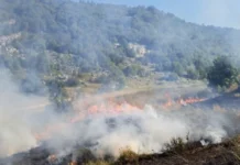 Dva požara na području Gacka, situacija stabilna
