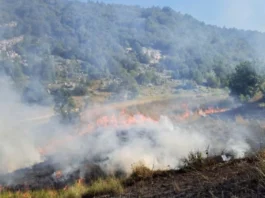 Dva požara na području Gacka, situacija stabilna