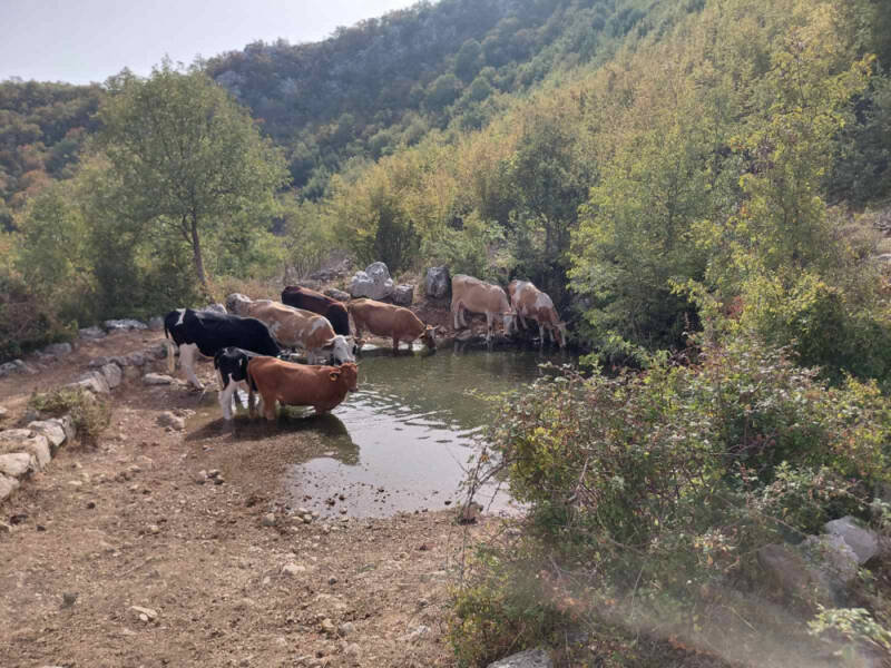 Voda-za-sela4