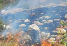 Požari širom Hercegovine: Vatra prijeti selima, vatrogasci brane kuće