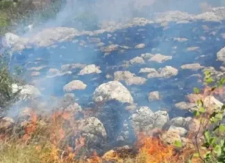 Požari širom Hercegovine: Vatra prijeti selima, vatrogasci brane kuće