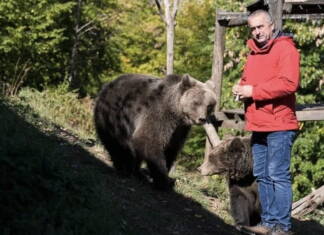 Petar Tubić na Ozrenu brine o dvije medvjedice siročadi