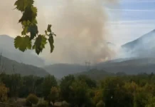 Požar u Lastvi kod Trebinja, vatrogasci na terenu